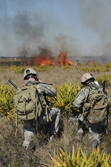 Soldiers call in information during Exercise Atlantic Strike in Florida Soldiers call in information during Exercise Atlantic Strike in Florida