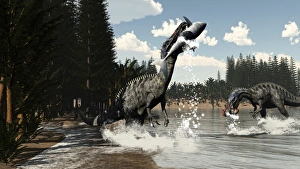 Two Suchomimus dinosaurs catch a fish and shark Two Suchomimus dinosaurs catch a fish and shark