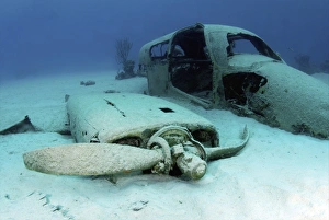 Sunken plane from the film Jaws 4, Nassau, The Bahamas Sunken plane from the film Jaws 4, Nassau, The Bahamas