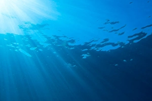 Serene Ocean Scene Prints: Sunlight streaming through the surface of the Pacific Ocean