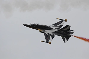 A T-50 Golden Eagle from the Republic of Korea Air Force Aerobatic Team A T-50 Golden Eagle from the Republic of Korea Air Force Aerobatic Team