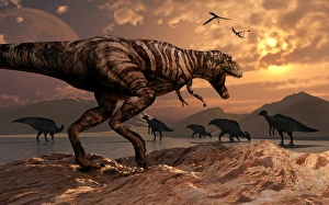 A T-Rex plans his attack on a herd of Parasaurolophus dinosaurs A T-Rex plans his attack on a herd of Parasaurolophus dinosaurs