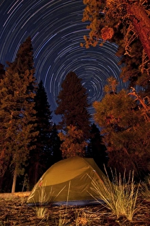 A tent and pine trees against a backdrop of star trails A tent and pine trees against a backdrop of star trails