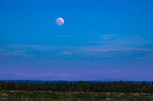 Blood Moon Photography Prints: The total lunar eclipse of May 26