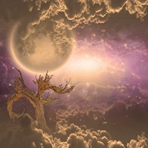 Peaceful Evening Sky Prints: Tree and moonrise with misty clouds