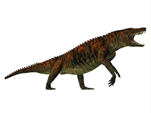 Paleozoology Images Prints: Uberabasuchus, side profile