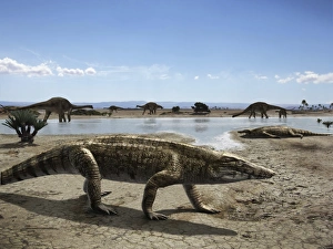 Uberabasuchus terrificus in an arid climate Uberabasuchus terrificus in an arid climate