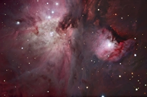 A view of the Trapezium region, which lies in the heart of the Orion Nebula A view of the Trapezium region, which lies in the heart of the Orion Nebula