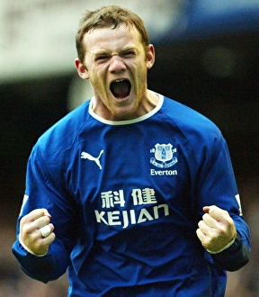 Soccer - Barclaycard Premiership Match - Everton v Portsmouth - Goodison Park, Liverpool Soccer - Barclaycard Premiership Match - Everton v Portsmouth - Goodison Park, Liverpool