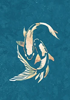Drawing Collection: Gold Blue Koi Fish