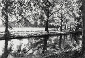 Realistic drawings Collection: Marlot 27 04 23