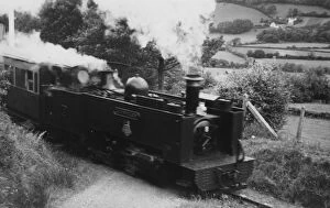 Capel Bangor Collection: Vale Of Rheidol Railway Aberystwyth to Devils Bridge