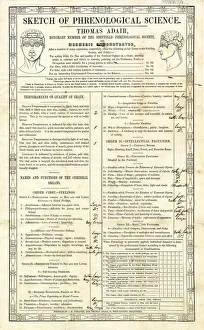 Phrenological chart, Sheffield, Yorkshire, 1845 Phrenological chart, Sheffield, Yorkshire, 1845