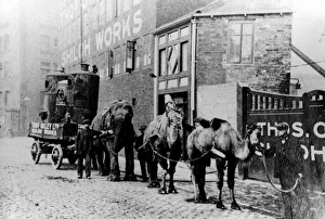 On war Service for Thomas Oxley Ltd, Shiloh Wheel, Stanley Street, 1914 On war Service for Thomas Oxley Ltd, Shiloh Wheel, Stanley Street, 1914