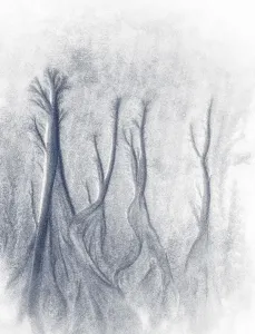 Dendritic drainage patterns in sand print