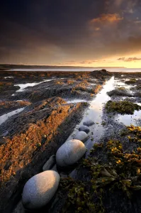 Abbotsham cliff, beach at low-tide, late evening light, Devon, UK. August 2008 Abbotsham cliff, beach at low-tide, late evening light, Devon, UK. August 2008