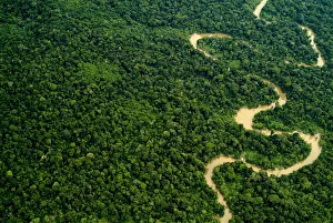 Aerial view of Amazon rainforest with river, Peru Aerial view of Amazon rainforest with river, Peru