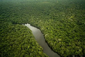 Aerial view of Lago Preto, Amazon Rainforest and lake, Peru Aerial view of Lago Preto, Amazon Rainforest and lake, Peru