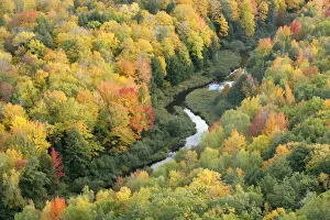Aerial view of Little Carp River and early autumn woodland, Porcupine Mountains State Park Aerial view of Little Carp River and early autumn woodland, Porcupine Mountains State Park