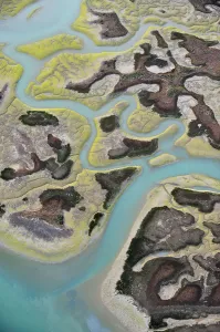 Aerial view of marshes with Seaweed exposed at low tide, Baha de Cdiz Natural Park Aerial view of marshes with Seaweed exposed at low tide, Baha de Cdiz Natural Park