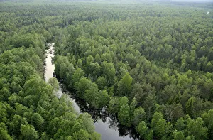 Aerial view of river flowing through forest, Kemeri National Park, Latvia, June 2009 Aerial view of river flowing through forest, Kemeri National Park, Latvia, June 2009