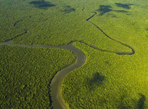 Aerial view of the River Kinabatangan and riverine tropical rainforest, Sabah, Malaysia Aerial view of the River Kinabatangan and riverine tropical rainforest, Sabah, Malaysia