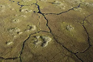 Aerial View showing Hippopotamus trails in the swamps of the Okavango Delta Aerial View showing Hippopotamus trails in the swamps of the Okavango Delta