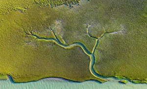 Aerial view of tidal channels in marshland, with tree like appearance Aerial view of tidal channels in marshland, with tree like appearance
