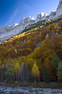 Arazas River flowing through autumnal forest in the Ordesa Valley, Ordesa Monte Perdido Arazas River flowing through autumnal forest in the Ordesa Valley, Ordesa Monte Perdido