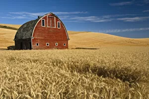 Agricultural Land Collection: Barn and wheat field in the Palouse farming area of southeastern Washington, USA, August