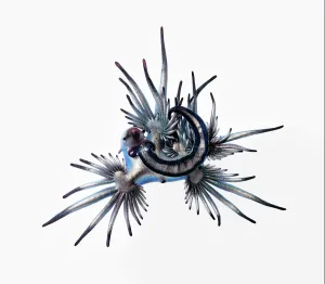 Blue sea slug (Glaucus atlanticus) that was washed ashore with a mass, multi-day stranding Blue sea slug (Glaucus atlanticus) that was washed ashore with a mass, multi-day stranding