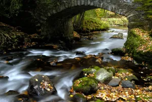 Bridge over the River Dart, Dartmoor NP, Devon, UK Bridge over the River Dart, Dartmoor NP, Devon, UK