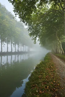 The Canal du Midi near Castelnaudary, Languedoc-Rousillon, France. September 2011 The Canal du Midi near Castelnaudary, Languedoc-Rousillon, France. September 2011