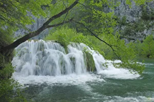 A cascade of waterfalls and rapids falling into a woodland pool. Plitvice National Park A cascade of waterfalls and rapids falling into a woodland pool. Plitvice National Park