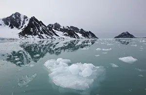 Coastal ice, Svalbard, Norway, July 2011 Coastal ice, Svalbard, Norway, July 2011