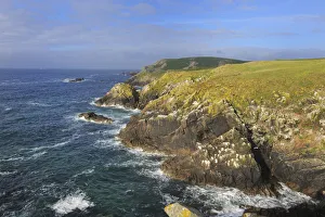 Coastal landscape with rocky headland, Great Saltee Island, County Wexford, Republic of Ireland Coastal landscape with rocky headland, Great Saltee Island, County Wexford, Republic of Ireland