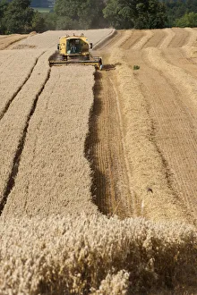Combine harvester combining Oat crop, Haregill Lodge Farm, Ellingstring, North Yorkshire Combine harvester combining Oat crop, Haregill Lodge Farm, Ellingstring, North Yorkshire