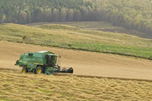 Combine harvester harvesting Barley (Hordeum vulgare) crop, Strathspey, Highlands Combine harvester harvesting Barley (Hordeum vulgare) crop, Strathspey, Highlands