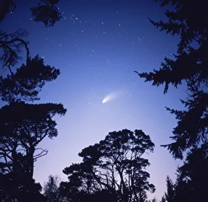 Comet Hale Bopp seen from Southern England, February 1997 Comet Hale Bopp seen from Southern England, February 1997