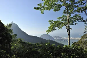 Corcovado Hill and the Christ Redemptor statue in the Atlantic Rainforest of Tijuca National Park Corcovado Hill and the Christ Redemptor statue in the Atlantic Rainforest of Tijuca National Park