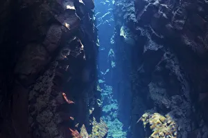 Crack of the continental drift between the North American and Eurasian Plates at Thingvellir Crack of the continental drift between the North American and Eurasian Plates at Thingvellir