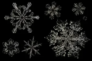 Different Snowflakes showing range in size and pattern, magnified under microscope Different Snowflakes showing range in size and pattern, magnified under microscope
