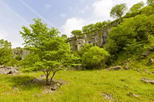 Disused limestone quarry supporting a wide range of vegetation. Millers Dale Disused limestone quarry supporting a wide range of vegetation. Millers Dale