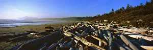 Driftwood on a beach with the coastline stretching to the horizon. Wickaninnish Beach Driftwood on a beach with the coastline stretching to the horizon. Wickaninnish Beach