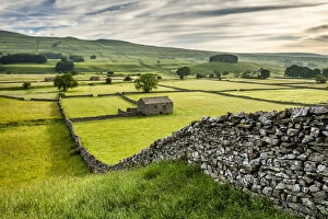 Agricultural Land Collection: Dry-stone walls and barns in Wensleydale, Yorkshire Dales National Park, North Yorkshire