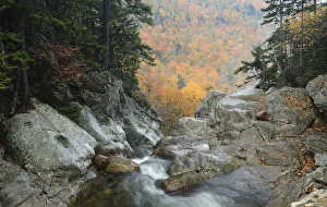 Ellis River high in White Mountain National Forest. New Hampshire, October 2012 Ellis River high in White Mountain National Forest. New Hampshire, October 2012