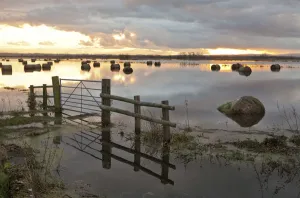 Flooded farmland with hay bales on Tadham Moor, Somerset Levels, England, December 2012 Flooded farmland with hay bales on Tadham Moor, Somerset Levels, England, December 2012