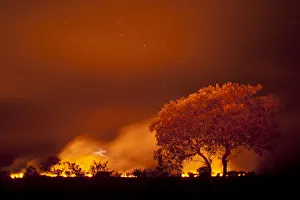 Grass fire at night in Pantanal, Brazil Grass fire at night in Pantanal, Brazil