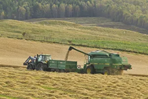 Harvesting barley crop in late summer, Scotland, UK Harvesting barley crop in late summer, Scotland, UK