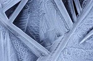 Detail in ice pattern formations, the Netherlands Detail in ice pattern formations, the Netherlands